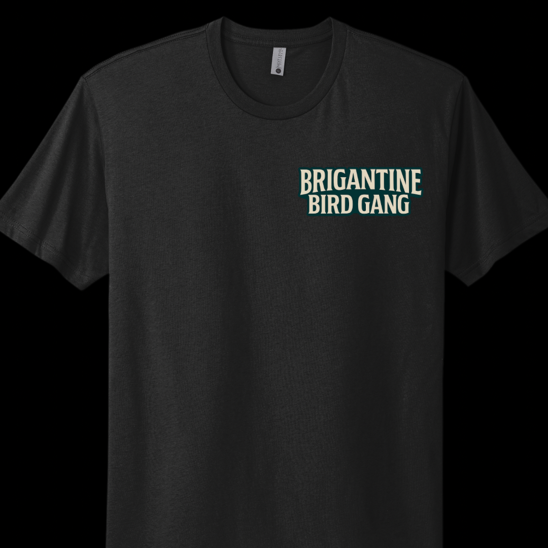 Brigantine Bird Gang