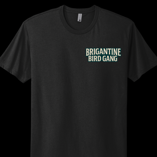 Brigantine Bird Gang